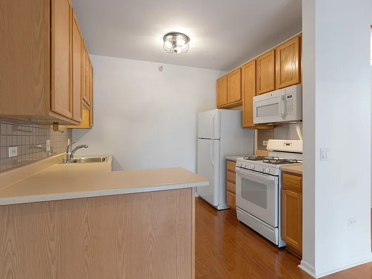 600 N Dearborn St #1505 — Photo 11
