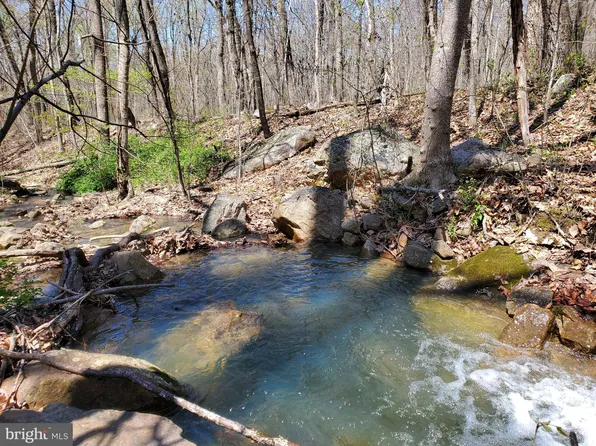 Brush Leaf Ln, Mount Jackson, VA 22842