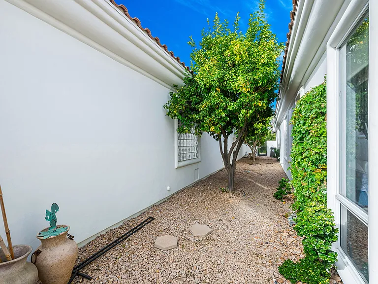 79215 Mandarina — Photo 36