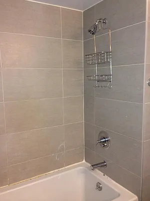 Rented by 5 Boro Realty Corp | media 55