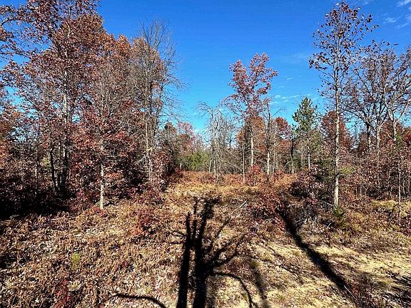 3rd image of 11664 Revord Rd