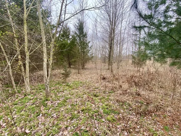 10 Watson Rd, Hamersville, OH 45130