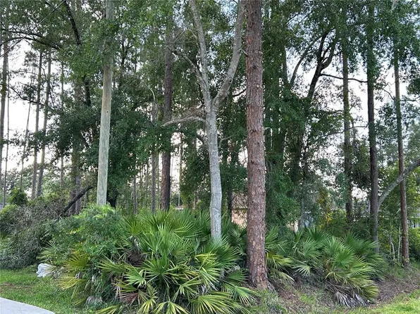 2050 10th Ave Lot 37, Deland, FL 32724