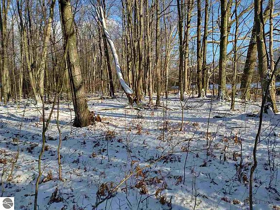 5th image of N Ogemaw Trl