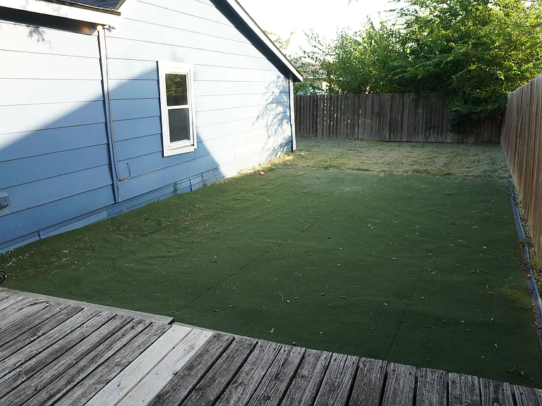 Backyard green