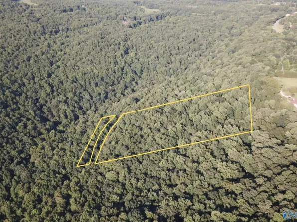 Butler Mill Rd, Grant, AL 35747