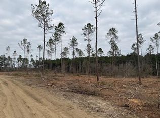 0 McNeill Steephollow Rd, Carriere, MS 39426