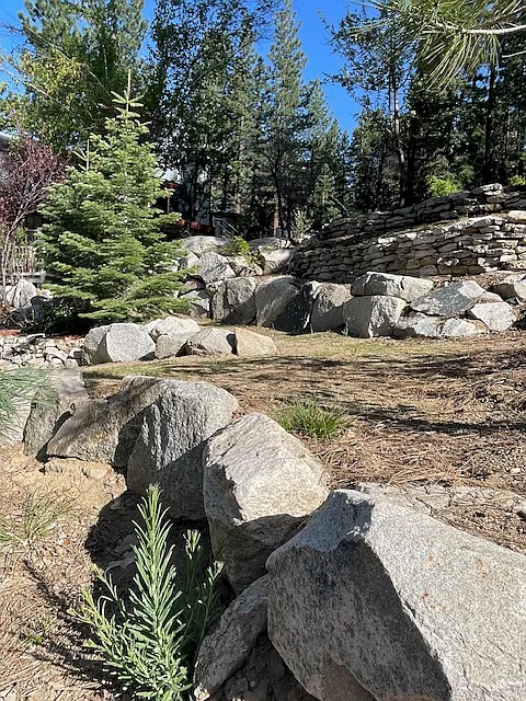 3 bed, 2000 sqft, $3,950 — Photo 4