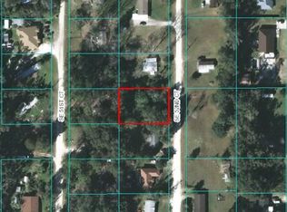 13890 SE 52nd Ct, Summerfield, FL 34491