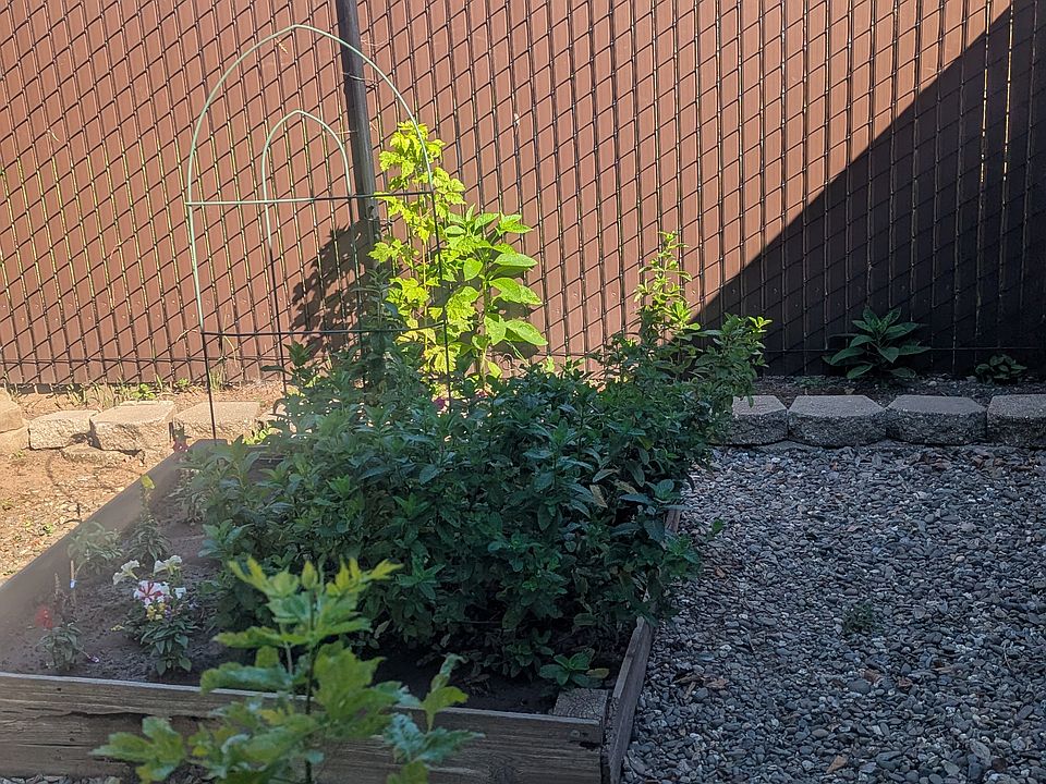 186-1B Backyard