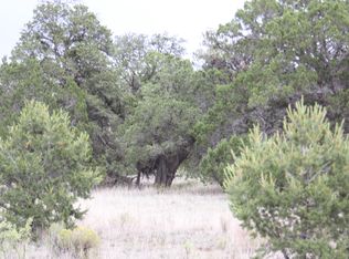 646-647 Pine Mdws #4 & 672-673, Ramah, NM 87321