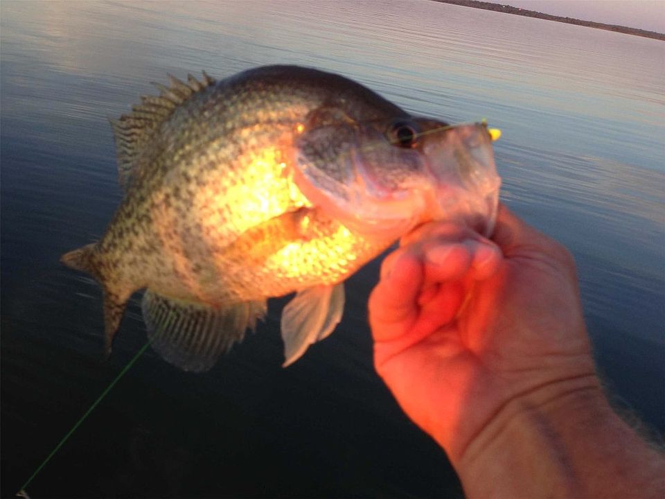 Tbd Fm 56, Kopperl, TX 76652 Zillow