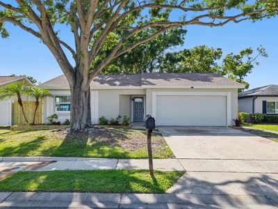 10404 Oakhaven Dr, Pinellas Park, FL, 33782