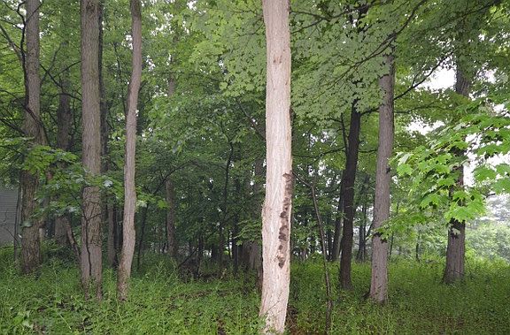 5th image of East Hill Road