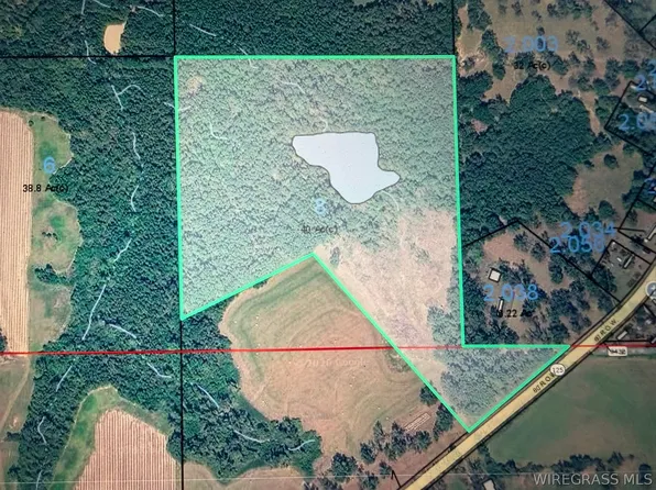 0 Highway 125, Brundidge, AL 36010