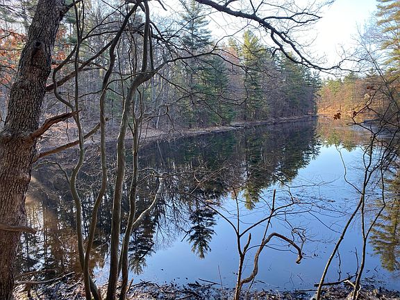 2nd image of Mill Pond Rd