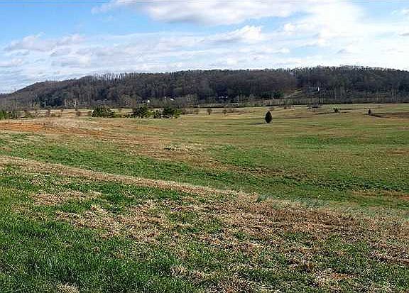 The back acreage is as pretty as a picture.