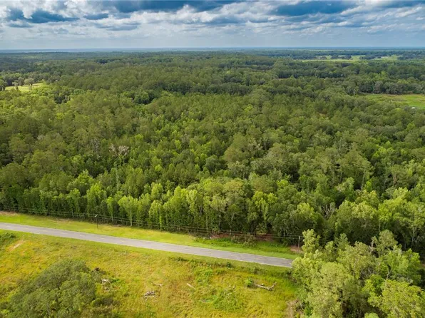10281 NW 193rd St, Micanopy, FL 32667