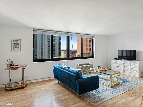 3rd image of 1221 N Dearborn Pkwy #Penthouse 10n