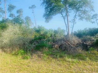 LOT 13 SW 131st Pl, Ocala, FL 34473