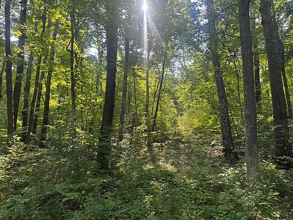4th image of Howard Lake Rd NW