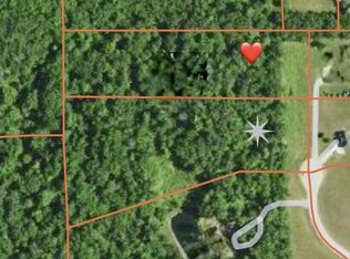 Ashlyn Ct, Fowlerville, MI 48836