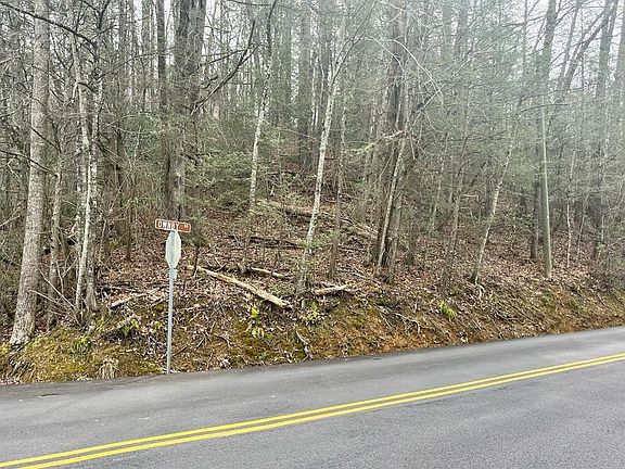 2nd image of 43 Ownby Dr Lot Po