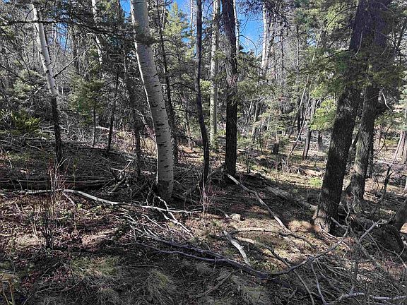 2nd image of 45 Back Basin Rd