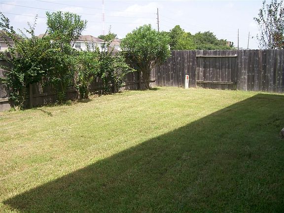 Big backyard