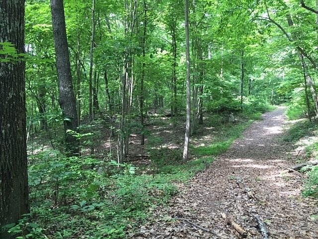 2nd image of 10 Bluffs Rd