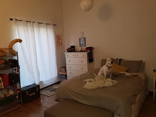 Rented by Garden Management | media 23