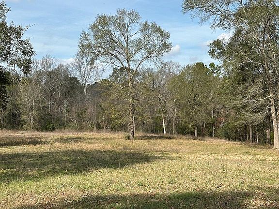 4th image of 4761 Jackson Rd