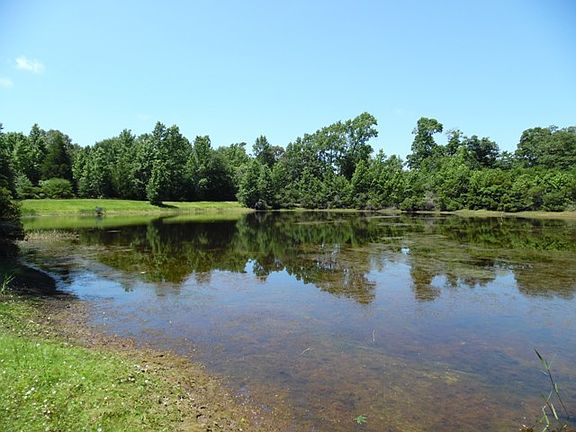 3rd image of 12118 County Road 259