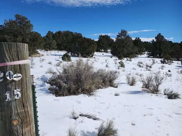 42 E Sawtooth Dr, Pie Town, NM 87827