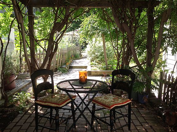 Grape and wisteria pergola 