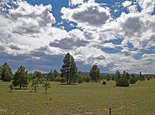 1872 Rocky Ln, Show Low, AZ 85901