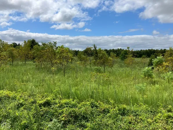 534 County Road St, Greenway, AR 72430