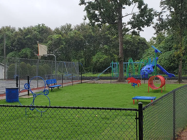Oakwood Forest — Photo 76