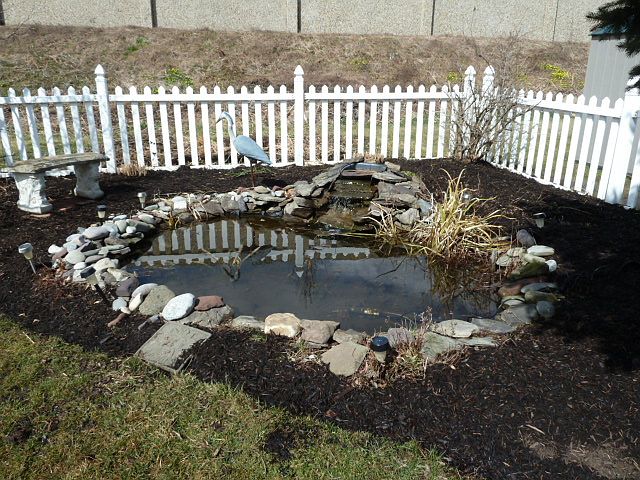 Pond
