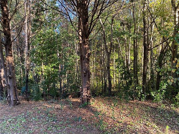 3rd image of 181 Eagle Glen Dr Lot 70