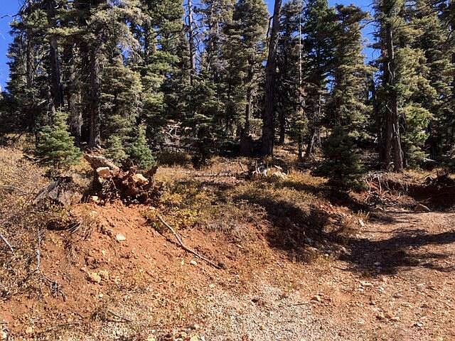 2nd image of 6210 W Muley Dr