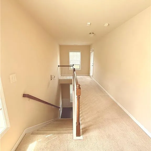 338 Privet Cir — Photo 10