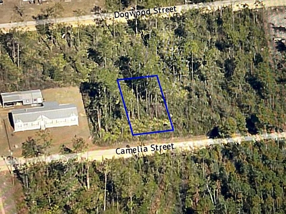 1st image of 12009 Camellia St