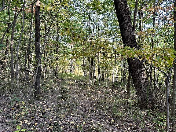 5th image of Linkletter Rd Lot Wp001
