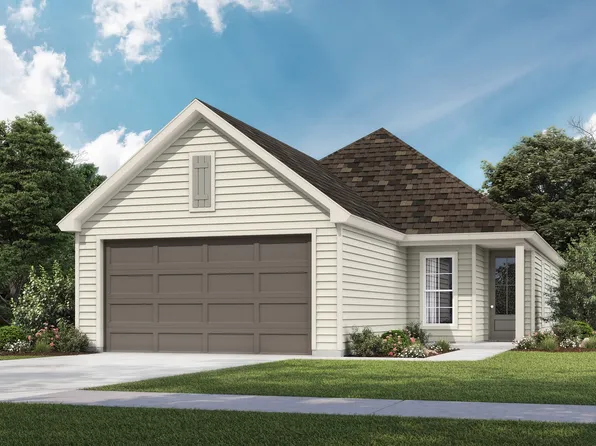 Autumn Plan, The Pines