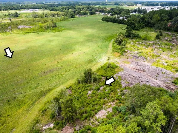 LOT 19 Chestnut Rd, Alma, GA 31510