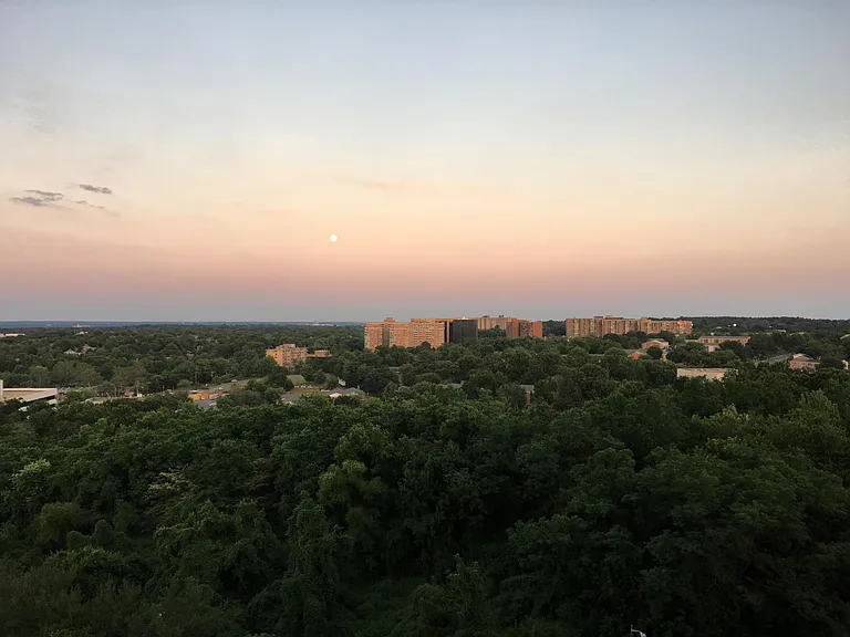 3705 S George Mason Dr #1108S — Photo 18