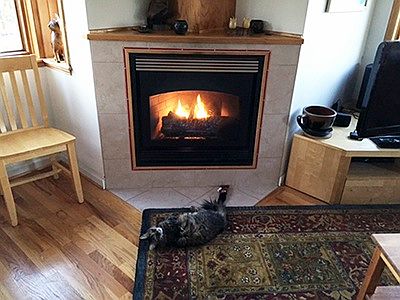 Gas Fireplace.