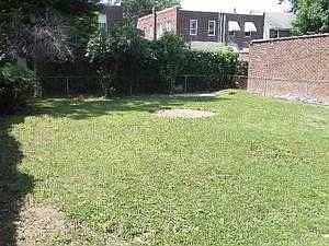 Rear Yard