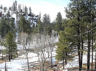 3369 WINDY Lane #145, Heber, AZ 85928
